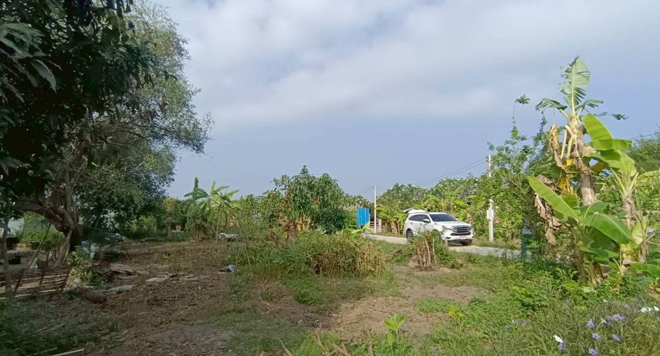 ขาย ที่ดิน ใน พนัสนิคม, ชลบุรี
