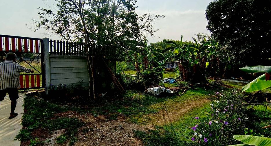 ขาย ที่ดิน ใน พนัสนิคม, ชลบุรี