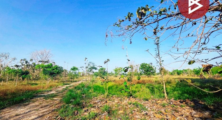 For sale 2 bedrooms house in Nong Chang, Uthai Thani