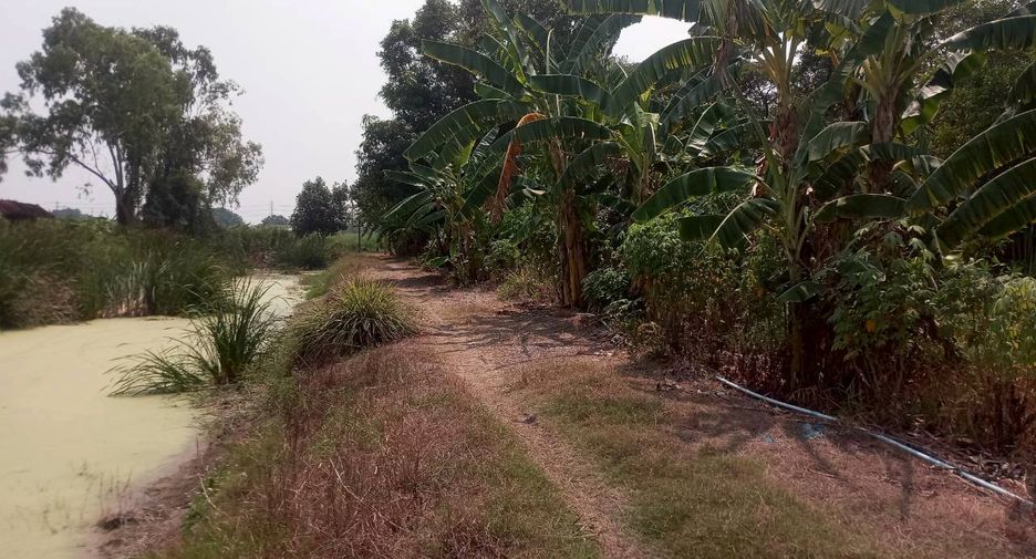 出售 土地 在 Min Buri, 曼谷