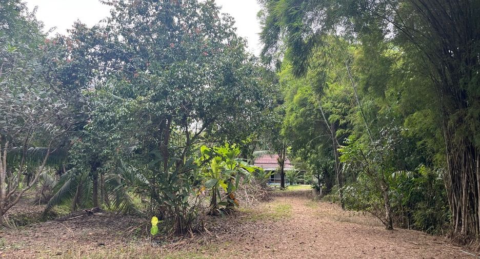 For sale land in Thai Mueang, Phang Nga
