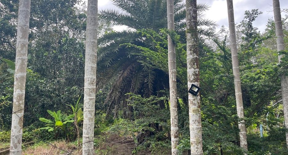 For sale land in Thai Mueang, Phang Nga