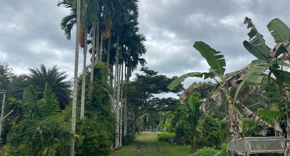 For sale land in Thai Mueang, Phang Nga