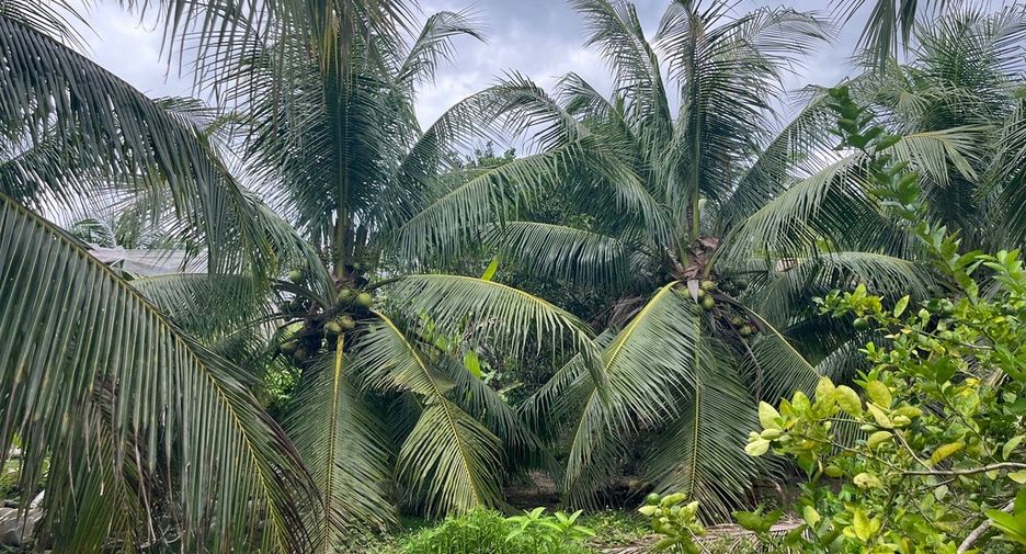 For sale land in Thai Mueang, Phang Nga