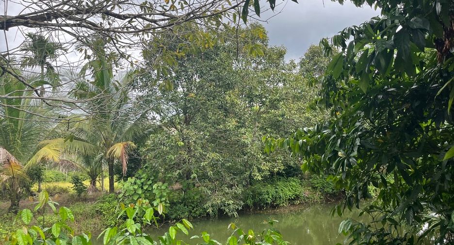 For sale land in Thai Mueang, Phang Nga