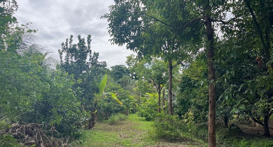 For sale land in Thai Mueang, Phang Nga