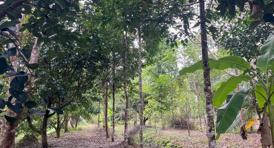 For sale land in Thai Mueang, Phang Nga