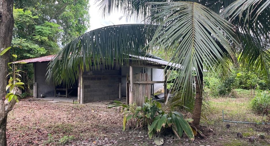 For sale land in Thai Mueang, Phang Nga