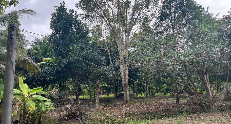 For sale land in Thai Mueang, Phang Nga