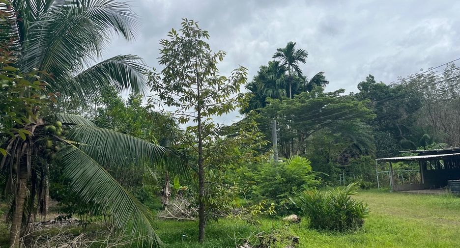 For sale land in Thai Mueang, Phang Nga