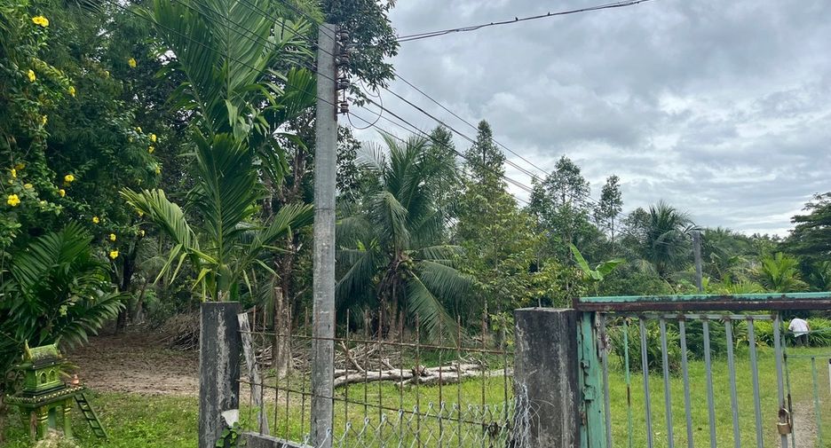 For sale land in Thai Mueang, Phang Nga