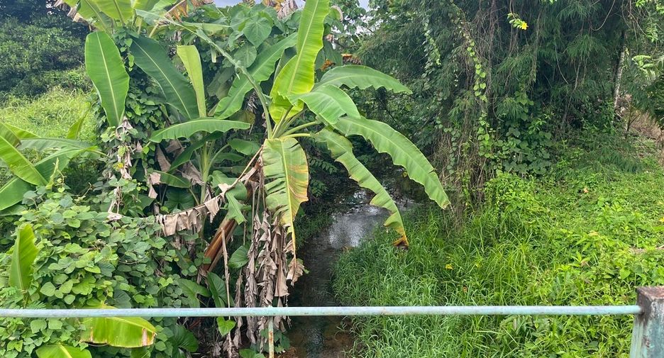 For sale land in Thai Mueang, Phang Nga