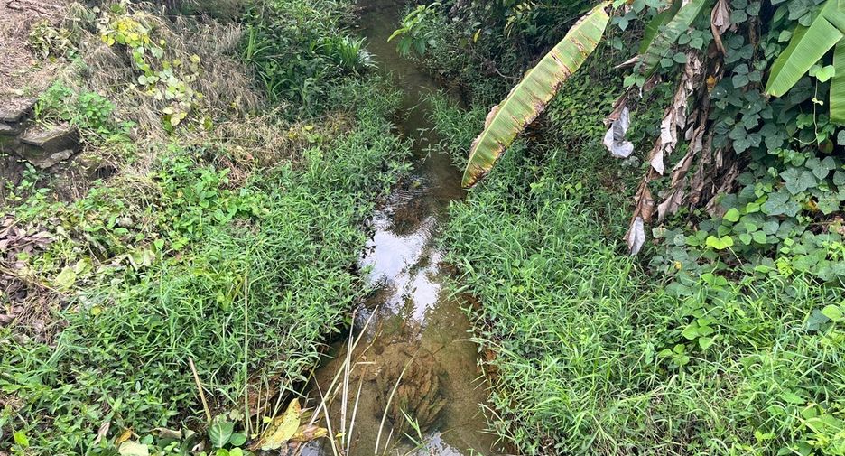 For sale land in Thai Mueang, Phang Nga