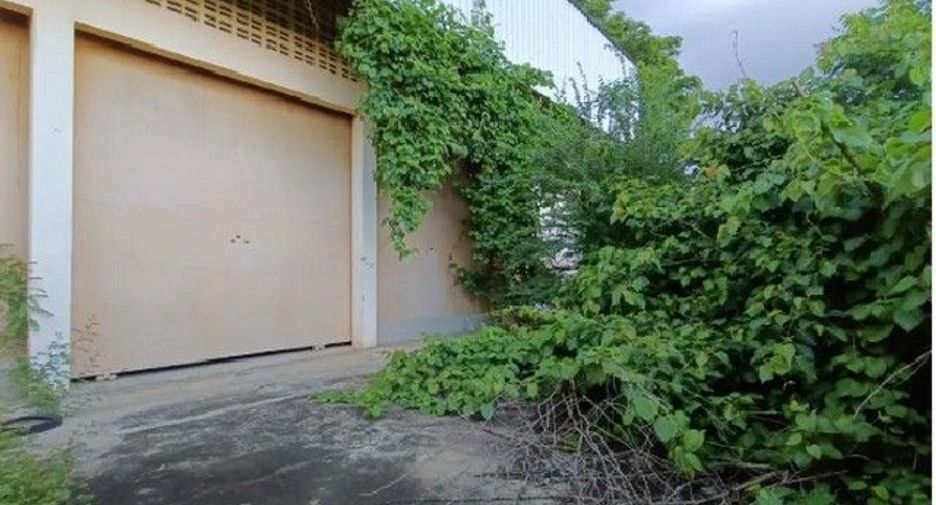 For sale 1 bed warehouse in Taphan Hin, Phichit