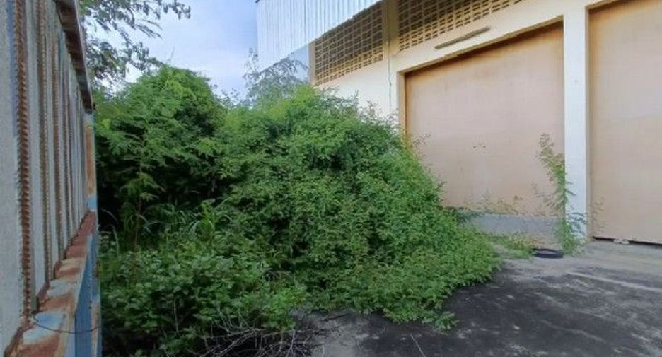 For sale 1 bed warehouse in Taphan Hin, Phichit