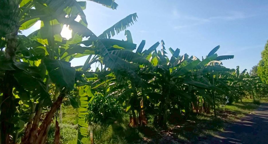 ขาย ที่ดิน ใน หนองแขม, กรุงเทพฯ