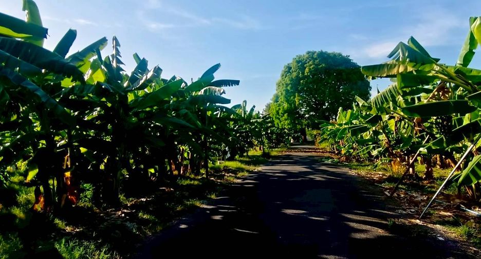 ขาย ที่ดิน ใน หนองแขม, กรุงเทพฯ