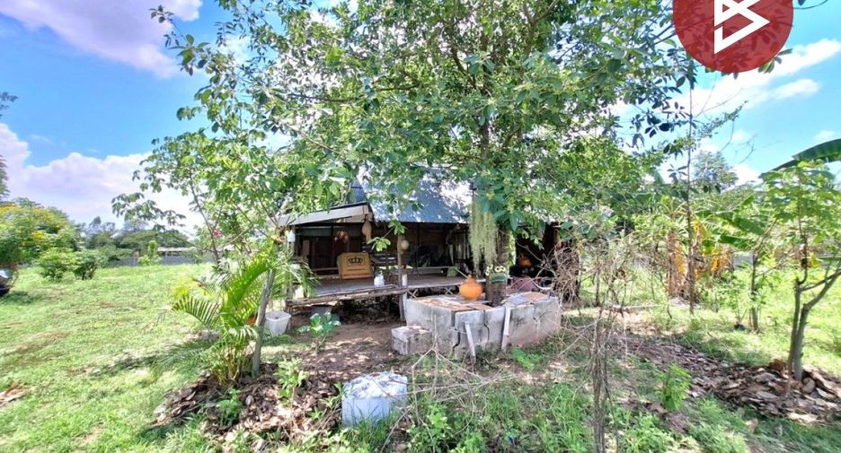 For sale land in Si Somdet, Roi Et