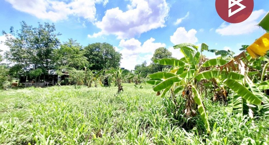 For sale land in Si Somdet, Roi Et