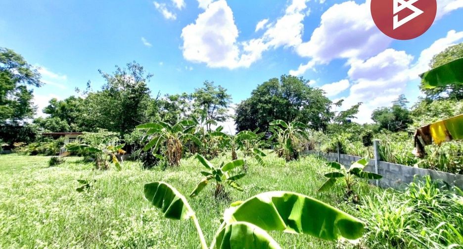 For sale land in Si Somdet, Roi Et