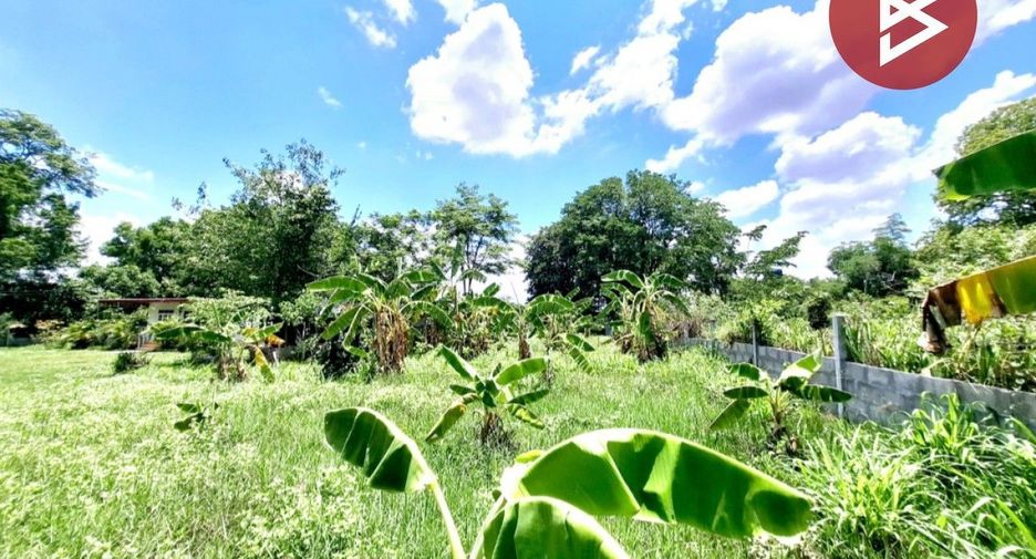 For sale land in Si Somdet, Roi Et