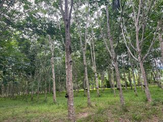 出售 土地 在 Thai Mueang, Phangnga