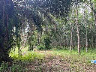 出售 土地 在 Thai Mueang, Phangnga