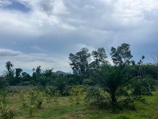出售 土地 在 Thai Mueang, Phangnga