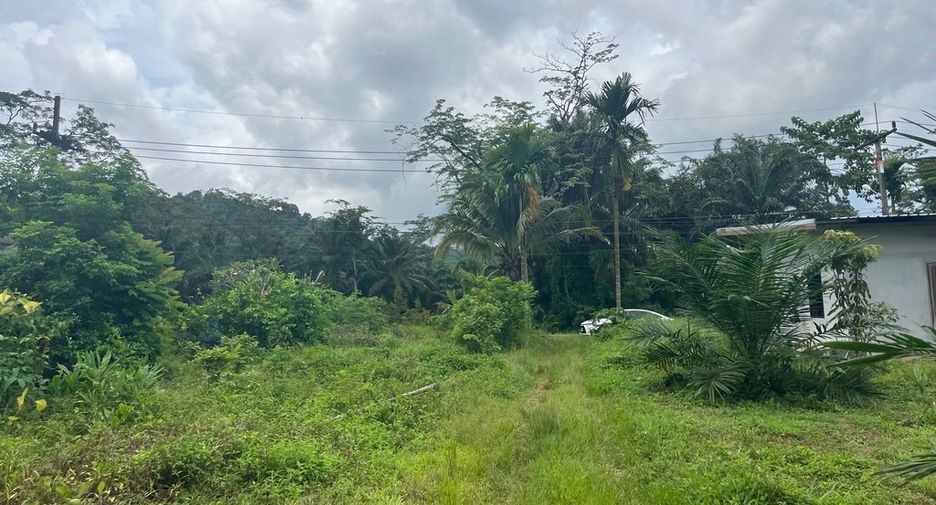 For sale land in Thai Mueang, Phang Nga