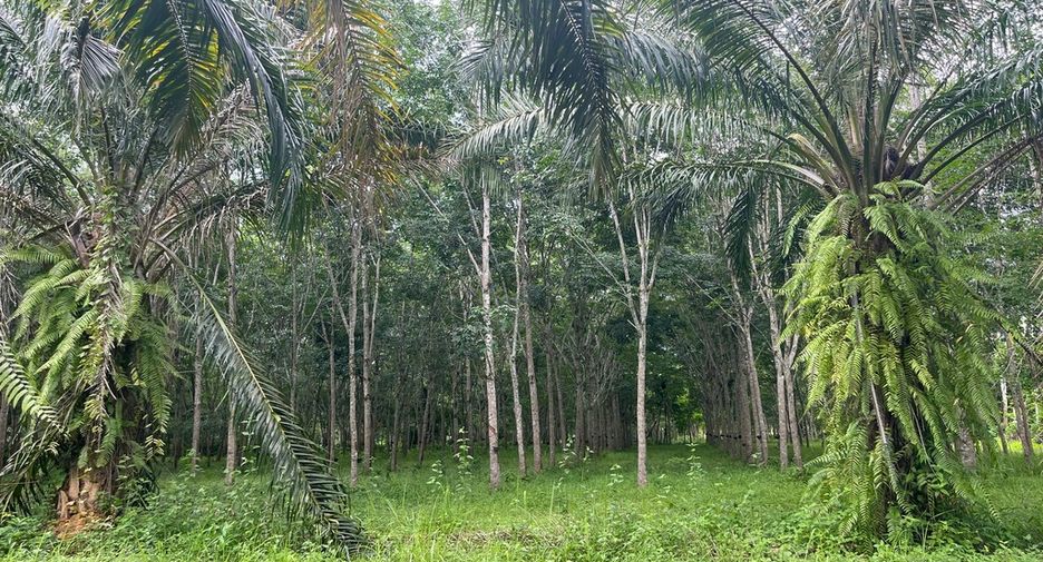 For sale land in Thai Mueang, Phang Nga