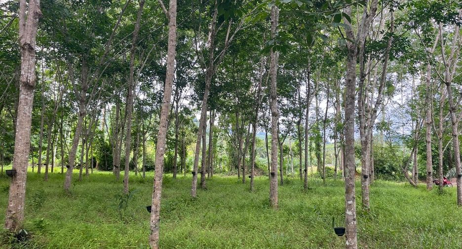 For sale land in Thai Mueang, Phang Nga
