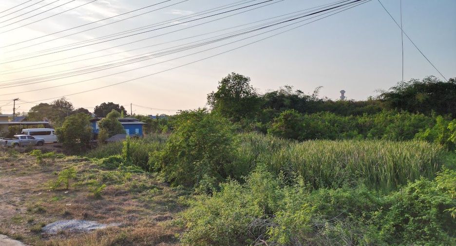 For sale land in Sam Khok, Pathum Thani