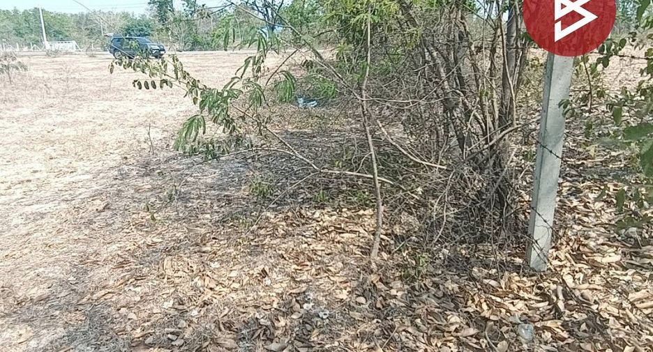 For sale land in Don Chedi, Suphan Buri