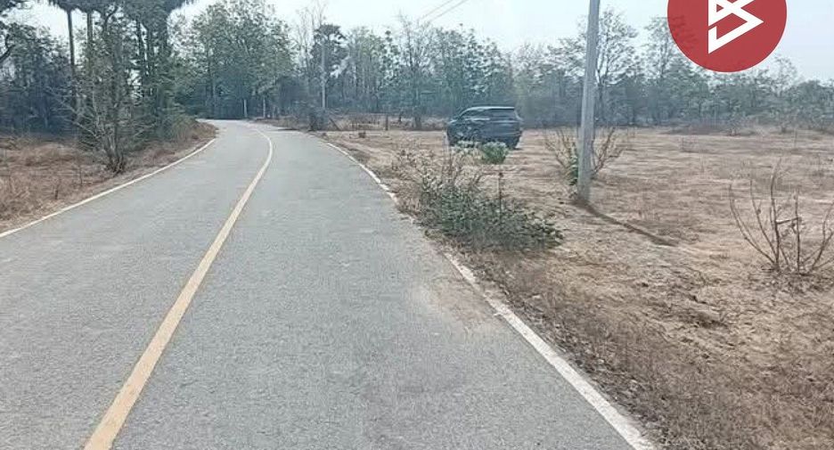 For sale land in Don Chedi, Suphan Buri