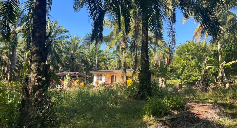 For sale land in Takua Thung, Phang Nga