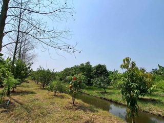 ขาย ที่ดิน ใน พุทธมณฑล, นครปฐม