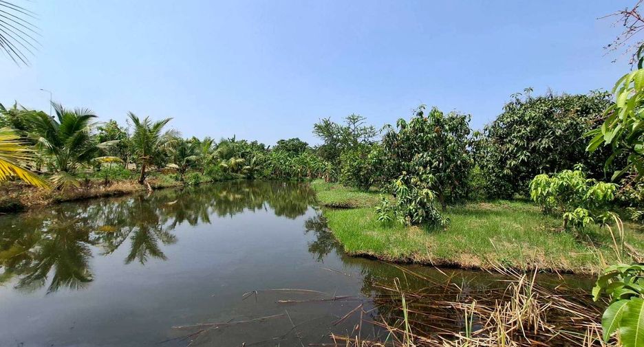 Terreno en venta en Phutthamonthon, Nakhon Pathom