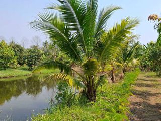 ขาย ที่ดิน ใน พุทธมณฑล, นครปฐม