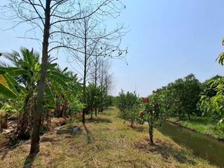 ขาย ที่ดิน ใน พุทธมณฑล, นครปฐม