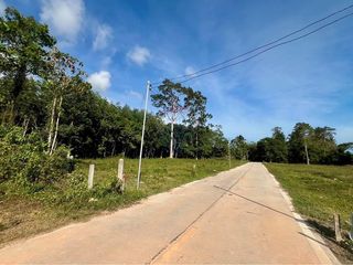 ขาย ที่ดิน ใน เกาะสมุย, สุราษฎร์ธานี