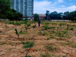 Продажа Участок в Банг Ламунг, Чонбури