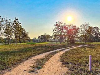 出售 土地 在 Bang Lamung, Chon Buri