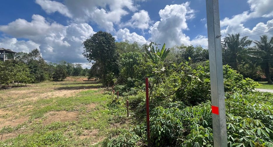 出售 土地 在 Thai Mueang, Phangnga