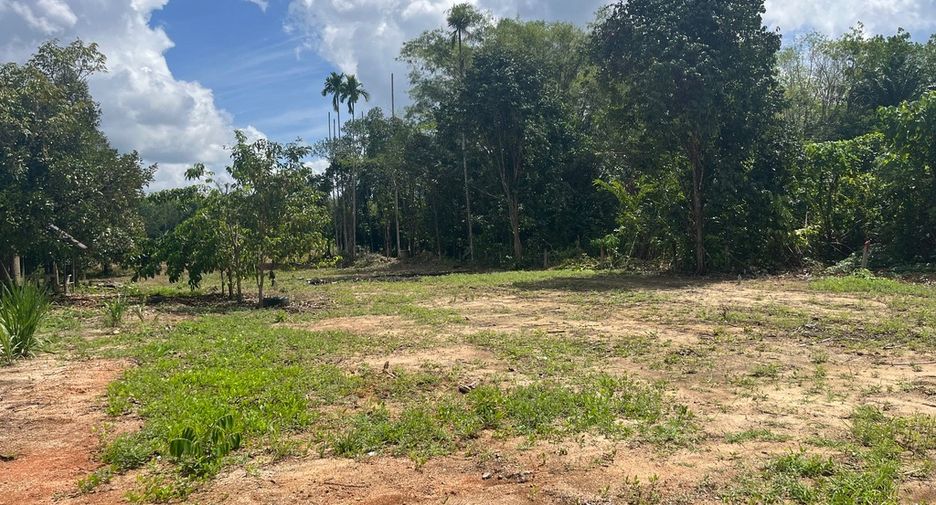 出售 土地 在 Thai Mueang, Phangnga