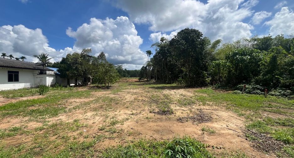 出售 土地 在 Thai Mueang, Phangnga
