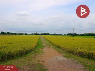 出售 土地 在 Nong Suea, Pathum Thani