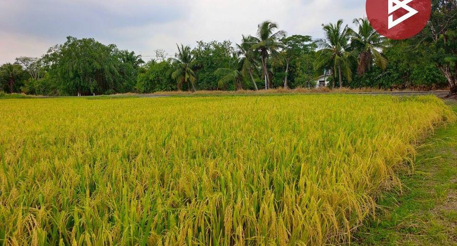 For sale land in Nong Suea, Pathum Thani