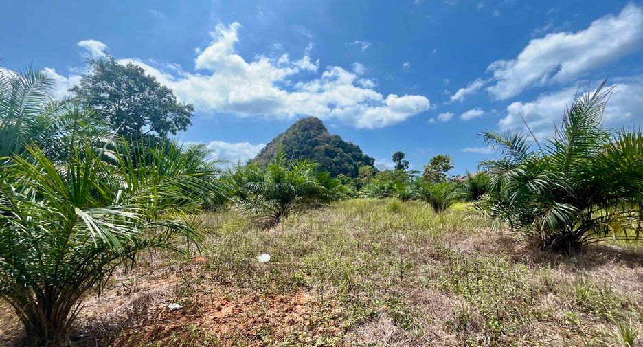 For rent land in Mueang Krabi, Krabi