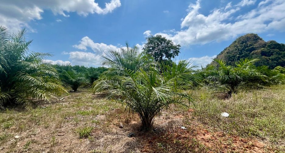 For rent land in Mueang Krabi, Krabi