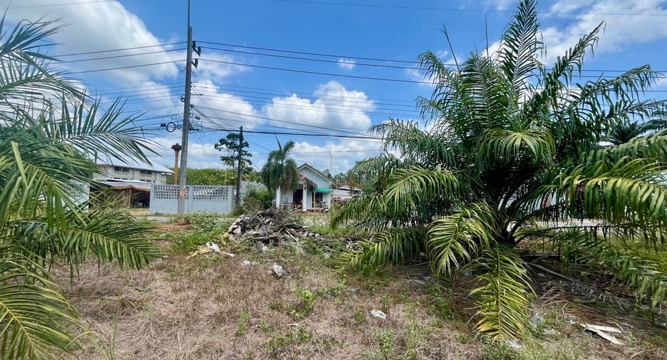 For rent land in Mueang Krabi, Krabi